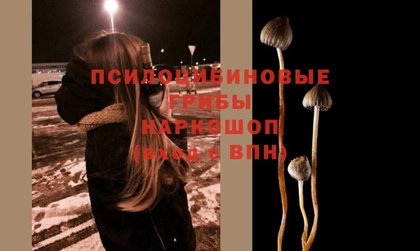 шишки Абдулино