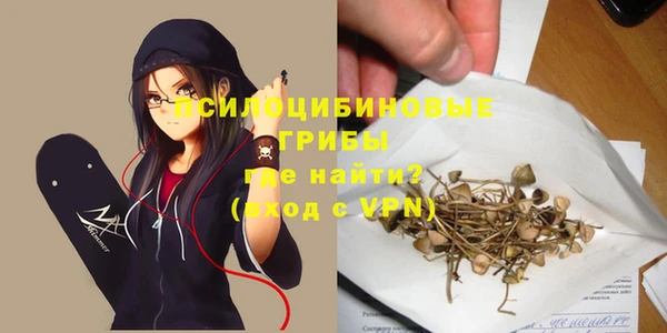 шишки Абинск