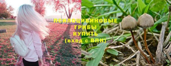 шишки Абдулино