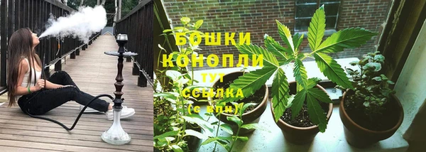 шишки Абинск