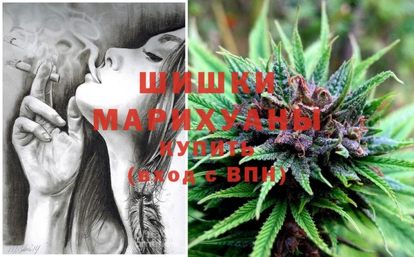 шишки Абинск