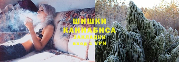 шишки Абинск