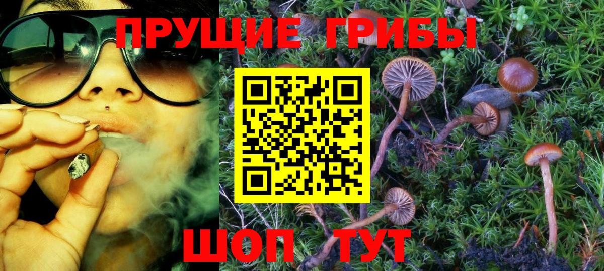 Псилоцибиновые грибы мухоморы  купить наркоту  Егорьевск  Вход с VPN 